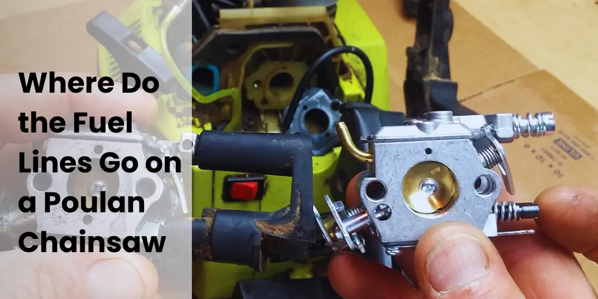 Where Do the Fuel Lines Go on a Poulan Chainsaw